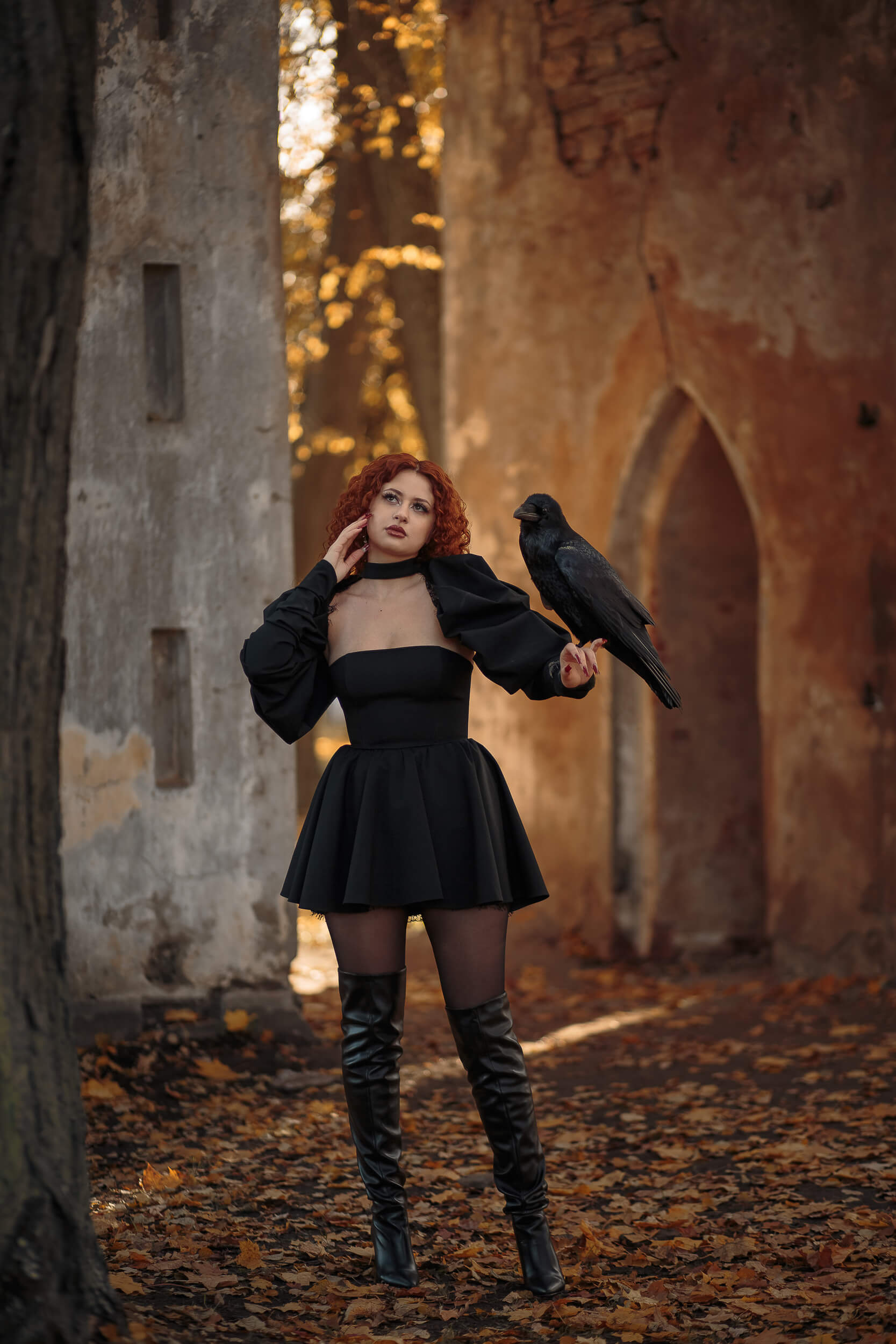 The Witch & The Raven